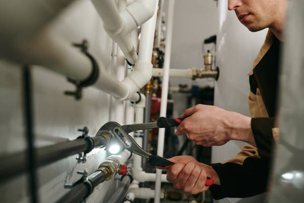 Best Local Plumber Services  in West Bountiful, UT